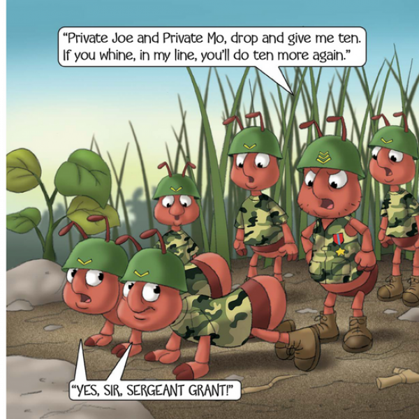 Sergeant Grant the Army Ant Image 1